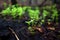 close-up of new green sprouts among charred trees