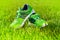 Close up new pairs of green running shoes / sneaker shoes on green grass field in the park