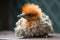 close-up of newborn bird's fluffy orange feathers