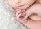 Close-up of newborn tiny hands