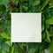 Close up of a note paper invitation card. Flat lay in green leaves. Square frame. Nature concept. Midsummer background