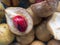 Close up of nutmeg fruits with mace