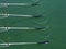 Close up oars of quadruple skulls rowing team