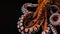 A close up of an octopus on a black background