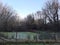 Close up ofa Green covered pond or swamp in a woodland area in the heart of the Kent countryside