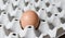 Close-up  oh  one  fresh chicken egg in cardboard formwork