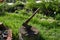 Close up of an old axe with a wooden handle stuck in a stump in the yard of a country house.