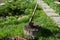 Close up of an old axe with a wooden handle stuck in a stump in the yard of a country house.