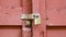 Close up of an Old Door with a padlock