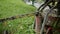 A close-up of an old-fashioned rusty hand water pump covered with grey moss