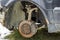 Close-up of old forsaken abandoned rusty broken trash car brake disc detail without rubber tire outdoors in field