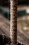 Close-up of an old frayed boat rope as background. thick heavy duty rope showing detail of threads and fibres. old frayed boat