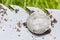 Close- up on old, hammered silver coin exposed on a shovel ,found in life dig by metal detector.