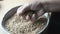 Close up of old hands pouring grains of wheat in 4K