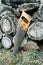 Close up of old handsaw resting on a pile of wooden lumber in a forest