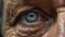 close up of an old person\\\'s eyes looking wrinkled and aged with full macro detail