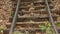 Close up of old railroad tracks