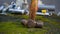 Close up of old and rusted hammers on a rock