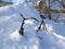 Close-up of old rusty bicycle buried in thick layer of snow in Finnish Lapland. Snowy landscape and extreme nature