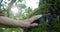 Close-up of the old woman`s hand touches the moss overgrown on the bark of a tree in the light of the sun