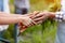 Close up of old and young hands with carrots