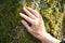 Close-up of older womans hand touching the bark of a tree