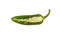 Close up one half green jalapeno pepper isolated