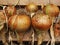 Close up of onions drying on a wooden shelf