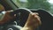 Close-up on open aperture. The girl drives a car on a country road. Women`s hands on the steering wheel