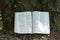 Close-up of open Bible in Isaiah chapter 40 outdoors. Background with leaves and tree trunk.