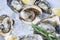 Close up open oyster shell with herb spices lemon rosemary served table and ice healthy sea food raw oyster dinner in the