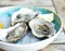 Close-up open raw oysters on a light blue stonebowl with ice and lemon on wooden table