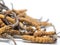 Close up Ophiocordyceps sinensis CHONG CAO, CHONG XIA CAO this is a herbs. Medicinal properties in the treatment of disease