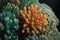 close-up of orange green hued coral created by generative AI