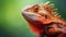 A close up of an orange lizard with a green background, AI