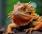 a close up of an orange lizard with spiky hair