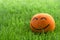 Close up of the  orange with smiling emoji face lays on the green grass