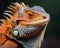 a close up of an orange and yellow iguana