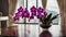 A close up of orchid flower on a table in a luxurious
