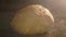 Close up of organic fresh loaf of bread baking in the oven of a kitchen. Timelapse of tasty bread in a bakery