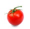 Close-up of organic, juicy, fresh, healthful bright red tomato, on a white background. Vitamins. Plant of tomato.