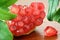 Close up of an organic pomegranate fruit