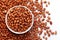 Close-up of organic red brown peanuts Arachis hypogaea in white Ceramic bowl with the gradient background of peanuts .