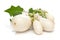 Close-up of organic white fresh eggplant or brinjal with leaf  Solanum melongena  isolated over white background