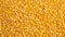 Close-up of organic yellow corn seed or maize. Generative AI