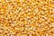 Close-up of organic yellow corn seed or maize Zea mays Full-Frame Background.