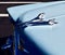 Close up of an Original Classic Large Bird Front Hood Ornament on a Bel Air 1956 Car in Fresno, USA