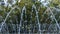 Close-up outdoor view of a public fountain with many small water jets. Public park background.