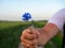 Close-up of an outstretched male hand holding a blue field flower. Blurry landscape of the field in the background. The concept of