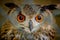 Close-up of a Owl in a Cage